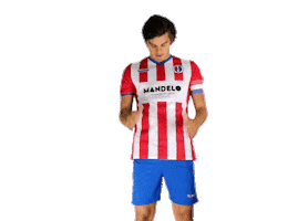 Svp9 Sticker by De Kaascoman