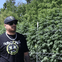 Plant Grow GIF by Exclusive Brands