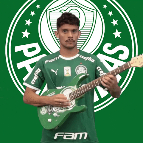 Palmeiras music soccer rock musica GIF