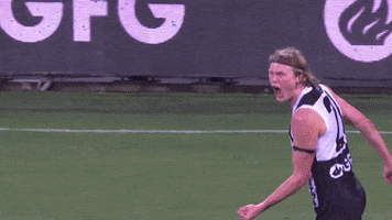 Bow And Arrow Afl GIF by Port Adelaide FC