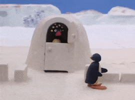 Pingu GIF