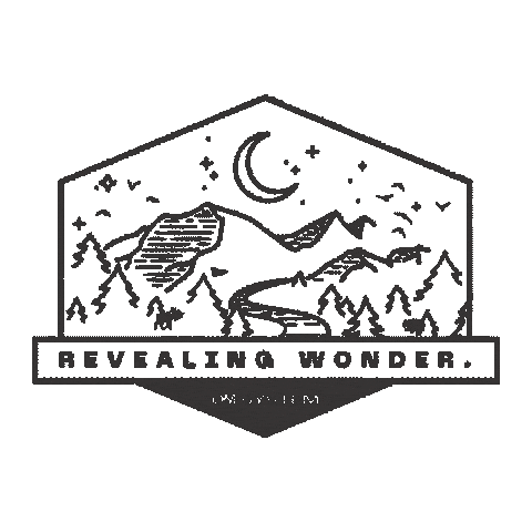 Camera Olympus Sticker by OM SYSTEM