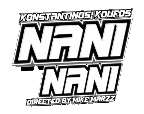 Nani.net Logo Design