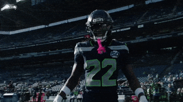 Seattle Seahawks GIF