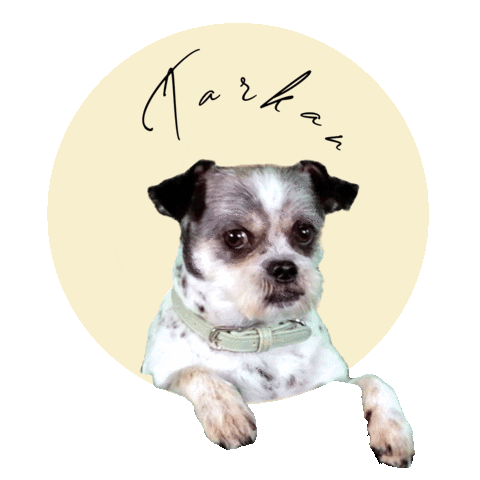 Dog Sticker