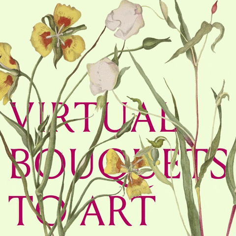 GIF by Fine Arts Museums of San Francisco (de Young \ Legion of Honor)