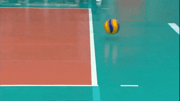 Slow Motion Spot GIF by Volleyball World
