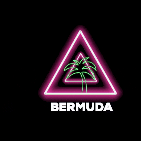 BermudaPEC music 90s 80s neon GIF