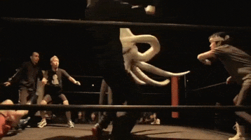 Lets Fight GIF by OctoNation® The Largest Octopus Fan Club!