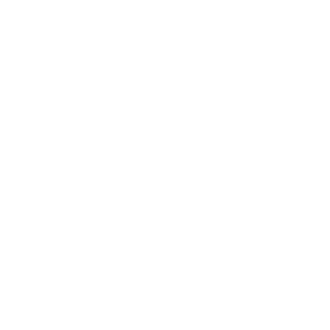 Voiz Sticker