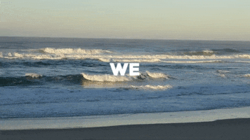 SeaSoilution GIF