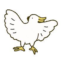 Bird Australia Sticker by あないすみーやそこ
