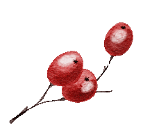Christmas Sticker