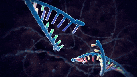 Genetica Gifs Get The Best Gif On Giphy