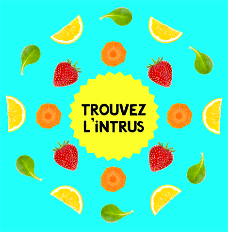 Les 2 Vaches GIF