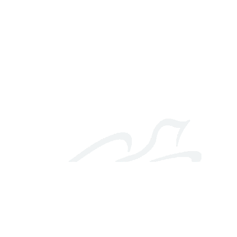 Urban Dove Sticker