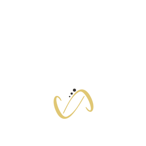 CClinic Pelotas Sticker