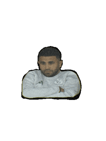 Dz Achour Sticker