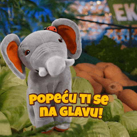 Safari Roda GIF by IDEA