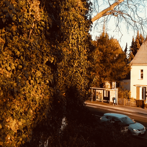 Junge Presse e.V. GIF