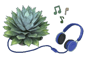Mexico Musica Sticker by Santa Sabia Media