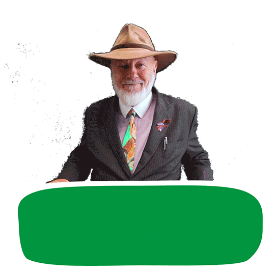 Climate Change Australia Sticker by Robin Chapple MLC