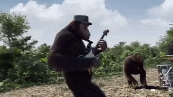 Adventure Of A Lifetime GIF by Coldplay