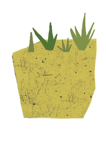 Plant Sticker