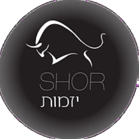 shorinvest GIF