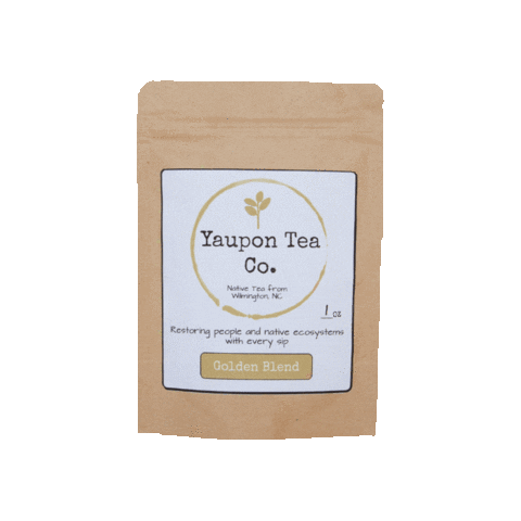Yaupon Tea Co. Sticker