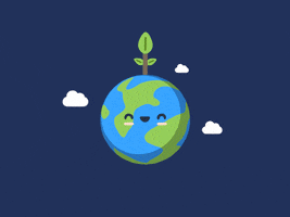 theroyaltyproject GIF