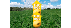 Agro Soja Sticker by Fundação Meridional