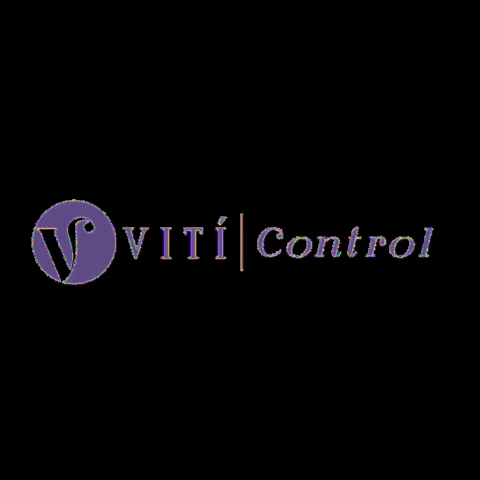 Control Corset GIF by VITI