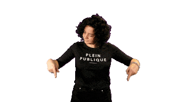 PLEIN PUBLIQUE Sticker