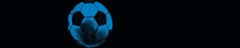 Football Sticker GIF by DSC Arminia Bielefeld