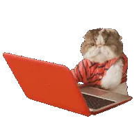 Cat in a striped shirt typing on a laptop