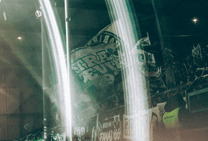 SpVgg Fürth GIF