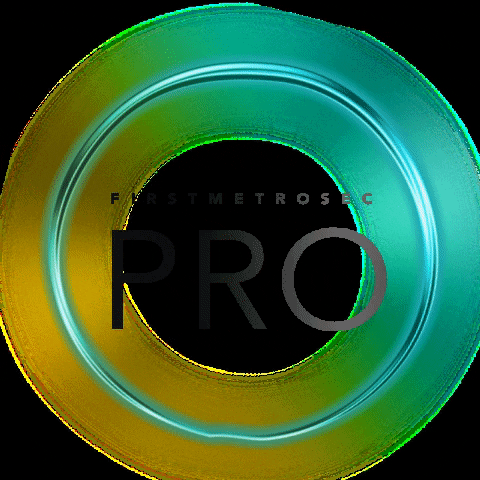 FirstMetroSec GIF