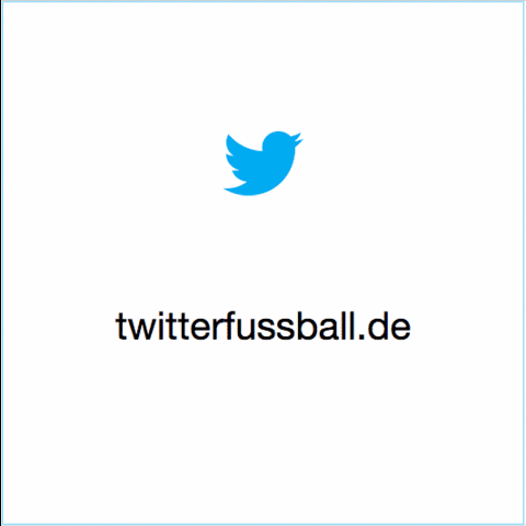 Euro2016 GIF by Twitter Sport DE