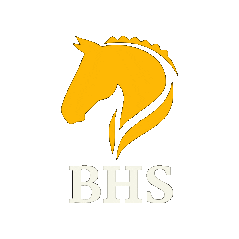 Better Horse Supplements Sticker