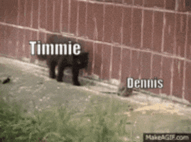 Rat GIF