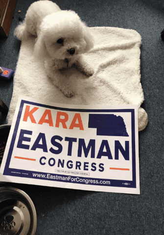 karaforcongress GIF