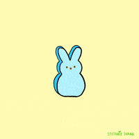 Easter Bunny GIF by Stefanie Shank