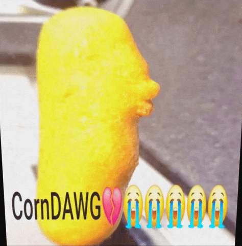 Son Corndog GIF