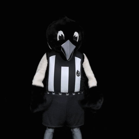 Collingwood Magpies Football GIF by CollingwoodFC