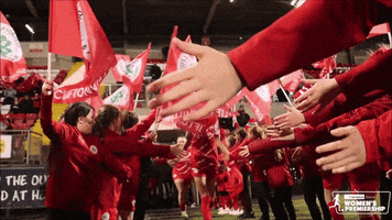 High Five Champions GIF by Cliftonville Football Club