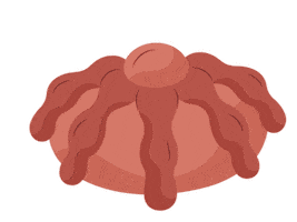 Así Sabe Recordar Sticker by Mole Doña María