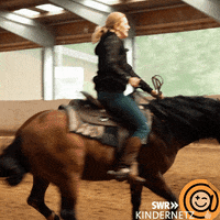 Oh No Spinning GIF by SWR Kindernetz