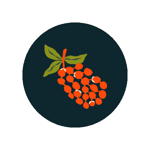 Articulação Semiárido Brasileiro - ASA Sticker