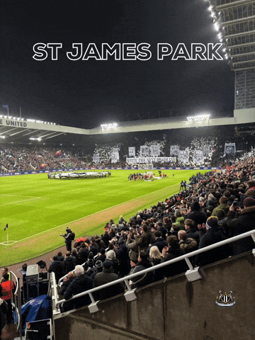 St James Park GIF
